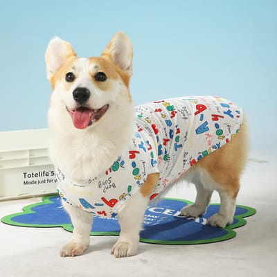 Pet Clothing/Accessories